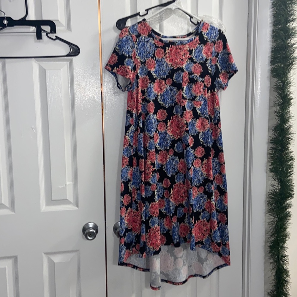 Lula Roe swing dress with pocket